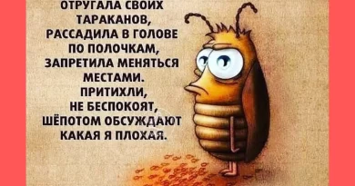 Тараканы в голове: Разбираемся с этим выражением. Смотреть фото Тараканы в голове: Разбираемся с этим выражением. Смотреть картинку Тараканы в голове: Разбираемся с этим выражением. Картинка про Тараканы в голове: Разбираемся с этим выражением. Фото Тараканы в голове: Разбираемся с этим выражением