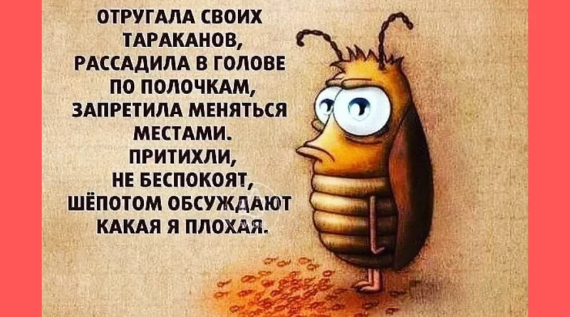 Тараканы в голове: Разбираемся с этим выражением. Смотреть фото Тараканы в голове: Разбираемся с этим выражением. Смотреть картинку Тараканы в голове: Разбираемся с этим выражением. Картинка про Тараканы в голове: Разбираемся с этим выражением. Фото Тараканы в голове: Разбираемся с этим выражением