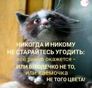 На всех не угодишь, только себе навредишь: Значение и важность саморазвития