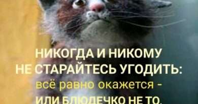 На всех не угодишь, только себе навредишь: Значение и важность саморазвития. Смотреть фото На всех не угодишь, только себе навредишь: Значение и важность саморазвития. Смотреть картинку На всех не угодишь, только себе навредишь: Значение и важность саморазвития. Картинка про На всех не угодишь, только себе навредишь: Значение и важность саморазвития. Фото На всех не угодишь, только себе навредишь: Значение и важность саморазвития