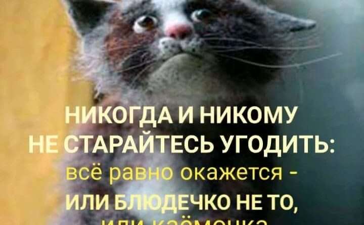 На всех не угодишь, только себе навредишь: Значение и важность саморазвития. Смотреть фото На всех не угодишь, только себе навредишь: Значение и важность саморазвития. Смотреть картинку На всех не угодишь, только себе навредишь: Значение и важность саморазвития. Картинка про На всех не угодишь, только себе навредишь: Значение и важность саморазвития. Фото На всех не угодишь, только себе навредишь: Значение и важность саморазвития